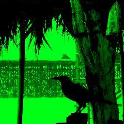 SleepyT03's profile picture. Human Being