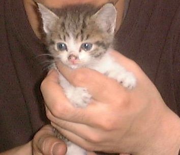 midnightfloater's profile picture. ライブが好き/年100本ぐらい/Chevon/GRAPEVINE/羊文学/CLANQUEEN/muque/チリビ/GLIMSPANKY/ブランデー戦記/緑黄色社会/なきごと/クレナズム/揺れるは幽霊/リュベンス/cephalo/雪国/普通に旅行好き/ゴルフもね/普通にオジサンです/気軽に話しかけてください