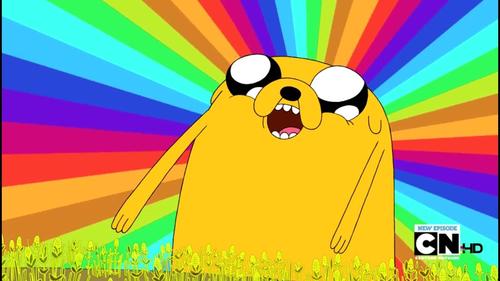 daftkako's profile picture. work in progress