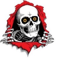 Skateboarding (@skatecommunity) 's Twitter Profile
