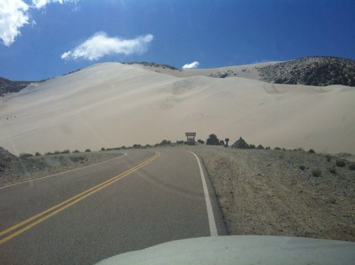 rforenzaSr's profile picture. 