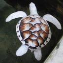 tyler james hagey - @HageyTyler - Twitter