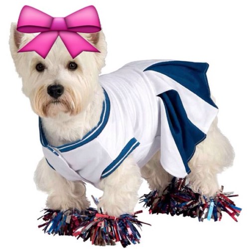 Just a dog thats a better cheerleader than you