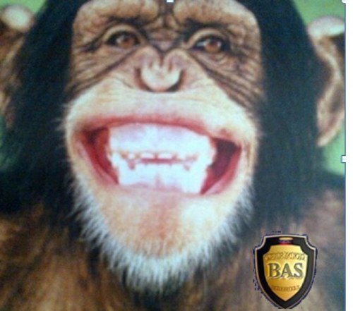 Guisos1's profile picture. En todas!