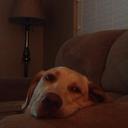 Patsy Cannon - @lsnovalady - Twitter