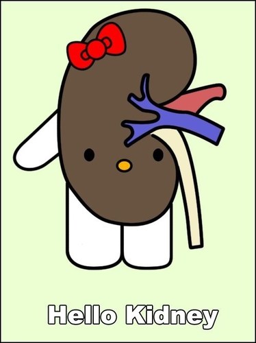 NoahMatzen's profile picture. I needlessly Capitalize Letters.