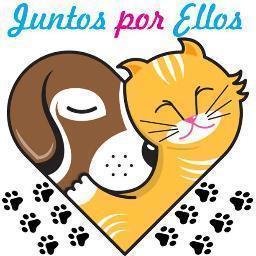 Somos un pequeño grupo de personas que decidió unirse con el único fin de intentar modificar el presente de los perros y gatos callejeros.