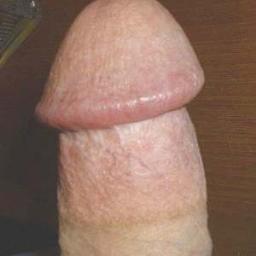 new2cock's profile picture. Started out straight but learned cock is fun too. Need someone not too big to teach me how to bottom.