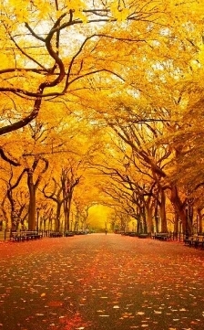 melanie192011's profile picture. 