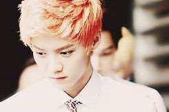 [RP] EXO-M | Solo cuiden de este chino