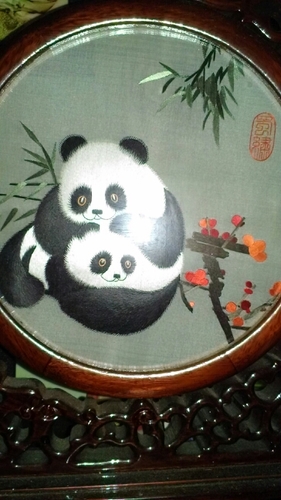 stingray6235's profile picture. 