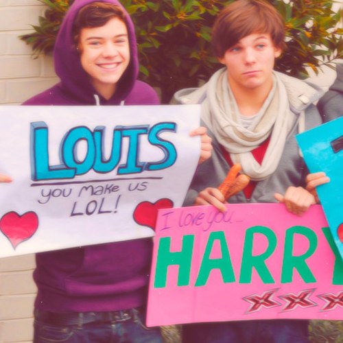 Hello i am kara i am a diretioner i love one direction all i do is think about one direction i love them so much i wish one of them would follow me i love larry