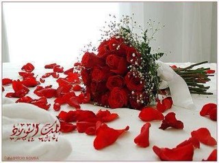 looolooo312's profile picture. 