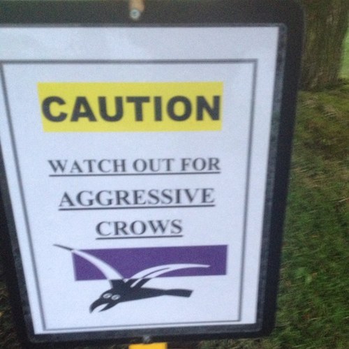 mepro5's profile picture. 