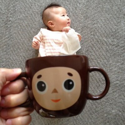 Wkn On Twitter Yontax ポラリスのオオヤさんとクラムボン原田郁子