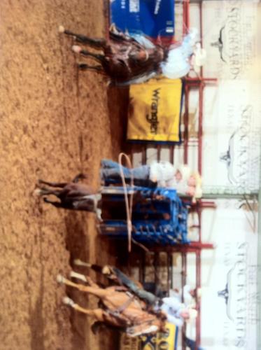 jesse_harville's profile picture. 