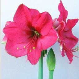 Joarthur3Ann's profile picture. 