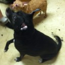 Marion Hartman - @HartmanMarion - Twitter