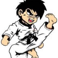 I'm not good in talking, when I have something to say I go to the cage and let my fist do the talking.