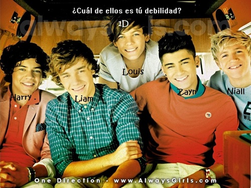 Directioner boy