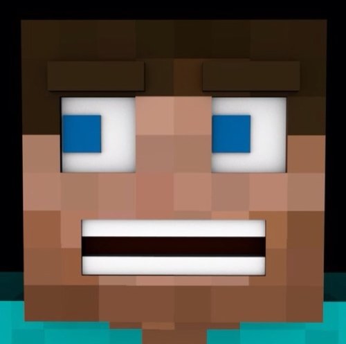 Its pixelated blocks. Not bad graphics. Got funny Minecraft problems? DM me and tell me about them. #BWProbs