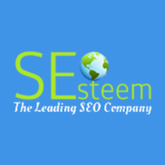 SEOEsteem's profile picture. SEO Company India