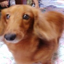 Georgia Dunn - @GeorgiaDunn17 - Twitter