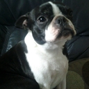 James Cragg - @james_cragg - Twitter