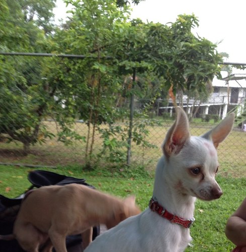 rotceh20032003's profile picture. 