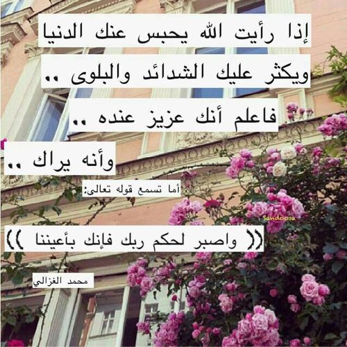 rania_bedair's profile picture. 