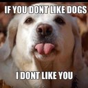 Clare piper - @Clarepiper43 - Twitter