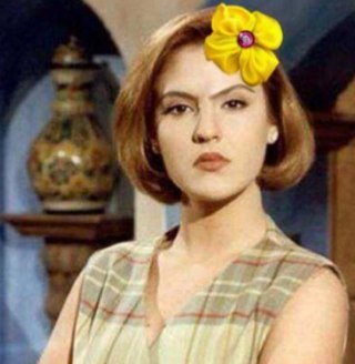 Señora angelica santibañez/hampaslupa hater/filipino/may-ari ng corned beef company/maraming twitter/follow nyo ako mga hampaslupa para walang parusa! Hahaha
