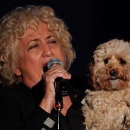 citizenreno's profile picture. New Yorker comedic monologist lesbianic  lover of personkind, & questioner of authority