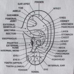 yaseminozcannn's profile picture. 