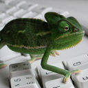 Jamie Mendoza - @JamieMe95794677 - Twitter