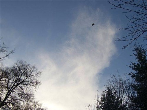 keeperchris35's profile picture. Full time Gamekeeper, dad & interested in all things countryside.