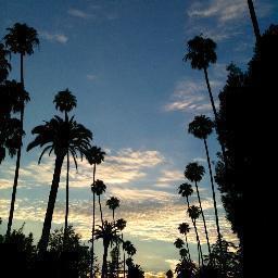 GammaStocks's profile picture. Twitter account of Enhydris Private Equity, Inc.
Group: https://t.co/xhgCUuGe0Q
Page: https://t.co/CkSMirVGad
Stocktwits name: GammaStocks. 
Join us! :)