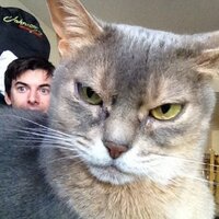 chris atherton (@scouseathey) 's Twitter Profile