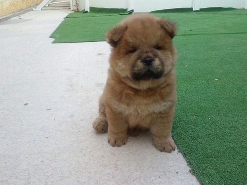 eugenio_martin's profile picture. 