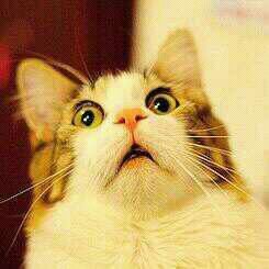 infinitoinsulto's profile picture. Los mejores insultos del momento. Bienvenido, le estábamos esperando.