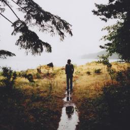 DavidMuaraFan's profile picture. 