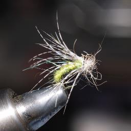 白咲さん家のうにぼーいL