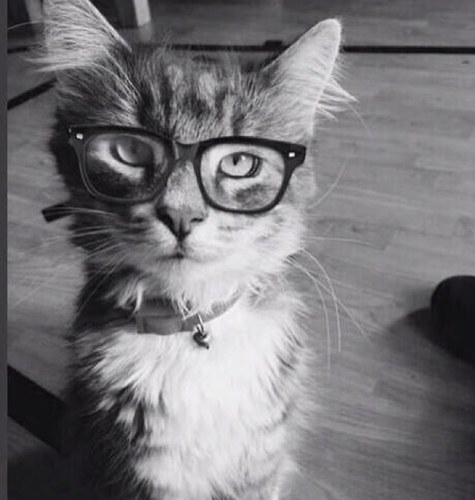 VBirukov's profile picture. 