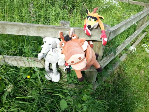 jonsplendid's profile picture. 