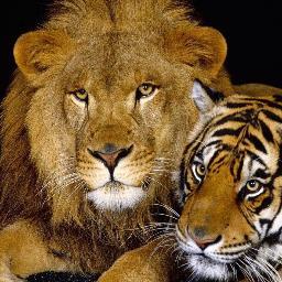 NewGIMJANs's profile picture. 