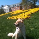 michael ross - @maross1870 - Twitter