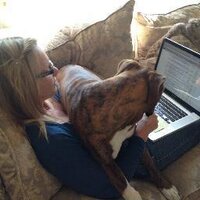Lucinda VanGlahn (@lvanglahn) 's Twitter Profile Photo Lucinda VanGlahn (@lvanglahn) 's Twitter Profile Photo