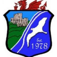 Llansteffan F.C (@llansteffanfc) 's Twitter Profile
