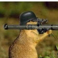 Ik ben harrold de hamster! Mijn beste vriend is henk de steen! daar knaag ik altijd op :D