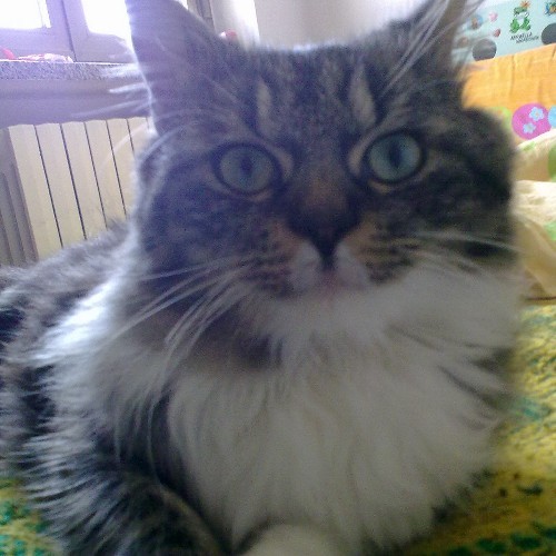 96_alessias's profile picture. 